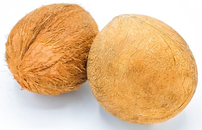Due noci di cocco con corteccia esterna